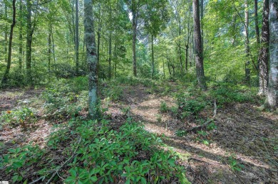 These two Homesites total 4.81 acres, are nested in the pristine on The Cliffs At Keowee Falls in South Carolina - for sale on GolfHomes.com, golf home, golf lot