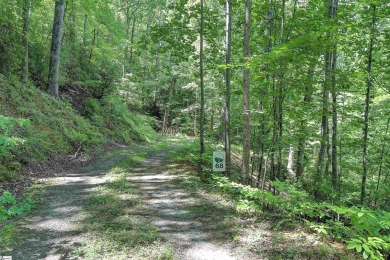 These two Homesites total 4.81 acres, are nested in the pristine on The Cliffs At Keowee Falls in South Carolina - for sale on GolfHomes.com, golf home, golf lot