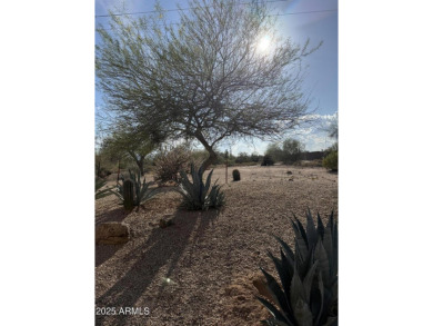 Looking for a terrific buy and a 'blank canvas' to make your on Rio Verde Country Club - Quail Run in Arizona - for sale on GolfHomes.com, golf home, golf lot