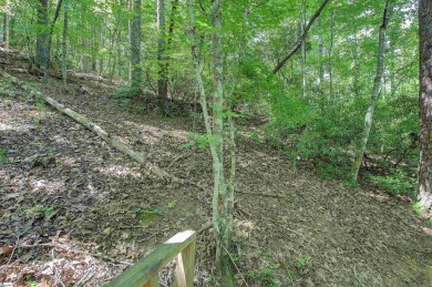 These two Homesites total 4.81 acres, are nested in the pristine on The Cliffs At Keowee Falls in South Carolina - for sale on GolfHomes.com, golf home, golf lot