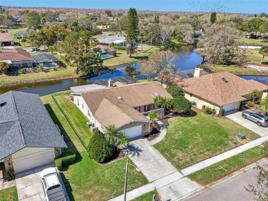 Oldsmar ~ East Lake Woodlands ~ Stunning community that is well on East Lake Woodlands Country Club in Florida - for sale on GolfHomes.com, golf home, golf lot