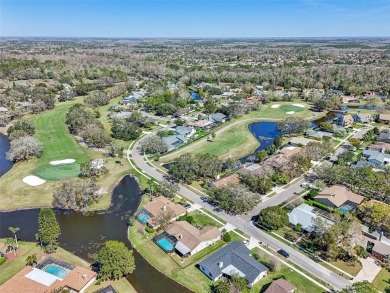 Oldsmar ~ East Lake Woodlands ~ Stunning community that is well on East Lake Woodlands Country Club in Florida - for sale on GolfHomes.com, golf home, golf lot