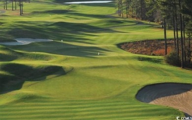 Stunning 0.39-Acre Homesite on a lake in Myrtle Beach's Premier on Wild Wing Plantation in South Carolina - for sale on GolfHomes.com, golf home, golf lot