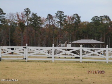 Welcome to Albemarle Plantation, Northeastern North Carolina's on Sound Golf Links at Albemarle Plantation in North Carolina - for sale on GolfHomes.com, golf home, golf lot