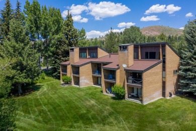 Featuring Baldy views and a terrific location, this 2-bedroom on Bigwood At Thunder Springs in Idaho - for sale on GolfHomes.com, golf home, golf lot