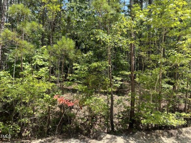 Own up to .82 acres. This .41 acre lot is 1 of 2 available lots on Woodlake Country Club in North Carolina - for sale on GolfHomes.com, golf home, golf lot
