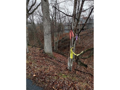 Location, location, location, two-minute ride to the Branchwood on Branchwood Golf Course in Arkansas - for sale on GolfHomes.com, golf home, golf lot