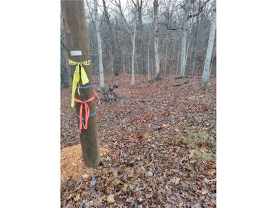 Location, location, location, two-minute ride to the Branchwood on Branchwood Golf Course in Arkansas - for sale on GolfHomes.com, golf home, golf lot