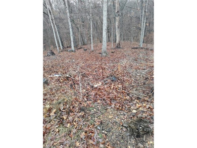 Location, location, location, two-minute ride to the Branchwood on Branchwood Golf Course in Arkansas - for sale on GolfHomes.com, golf home, golf lot