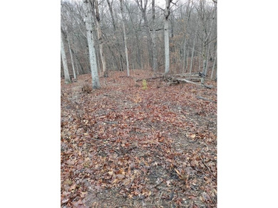 Location, location, location, two-minute ride to the Branchwood on Branchwood Golf Course in Arkansas - for sale on GolfHomes.com, golf home, golf lot