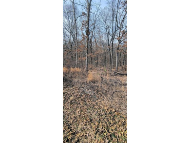 Location, location, location, two-minute ride to the Branchwood on Branchwood Golf Course in Arkansas - for sale on GolfHomes.com, golf home, golf lot