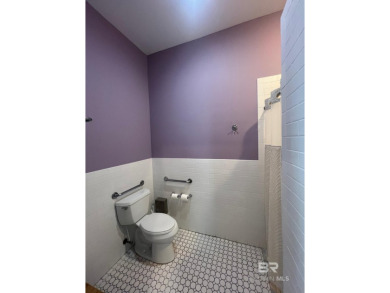 RENTALS ALLOWED-INVESTMENT OPPORTUNITY! OWNER FINANCING on Soldiers Creek Golf Club At Woerner Preserve in Alabama - for sale on GolfHomes.com, golf home, golf lot