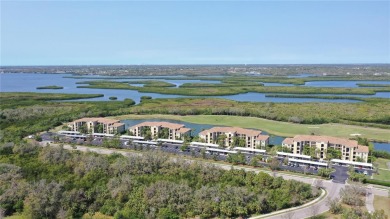 SPECIAL BUYER INCENTIVE: interest rate reduction for the first on River Strand Golf and Country Club At Heritage Harbour  in Florida - for sale on GolfHomes.com, golf home, golf lot