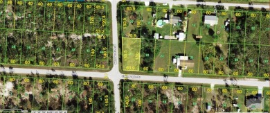 Corner lot with easy access to US 41 and I-75. Quiet on Seminole Lakes Country Club in Florida - for sale on GolfHomes.com, golf home, golf lot