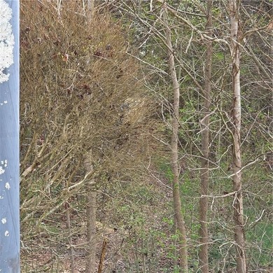 LOOK NO FURTHER... HERE IS A VACANT LOT IN THE SOUGHT AFTER OAK on Oak Mountain Championship Golf Club in Georgia - for sale on GolfHomes.com, golf home, golf lot