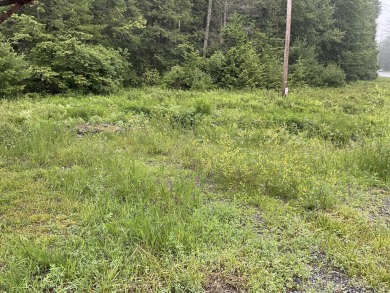 ?

Oversized lot in the heart of Pocono Farms Country on Pocono Farms Country Club in Pennsylvania - for sale on GolfHomes.com, golf home, golf lot