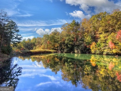 Overlooking a serene hidden lake-known by some residents as on White Path Golf Club in Georgia - for sale on GolfHomes.com, golf home, golf lot