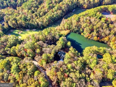 Overlooking a serene hidden lake-known by some residents as on White Path Golf Club in Georgia - for sale on GolfHomes.com, golf home, golf lot