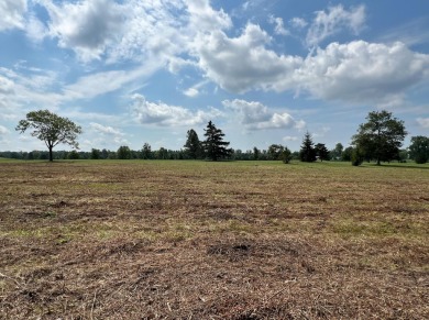 Build your dream home! Sitting on the Shelby Oaks Golf course on Shelby Oaks Golf Club  in Ohio - for sale on GolfHomes.com, golf home, golf lot