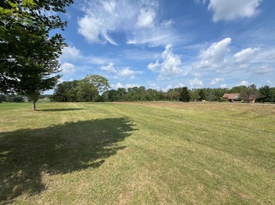 Build your dream home! Sitting on the Shelby Oaks Golf course on Shelby Oaks Golf Club  in Ohio - for sale on GolfHomes.com, golf home, golf lot