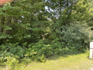 ''Enjoy approximately 300 feet of private lake access complete on Pine View Highlands Golf Course in Michigan - for sale on GolfHomes.com, golf home, golf lot