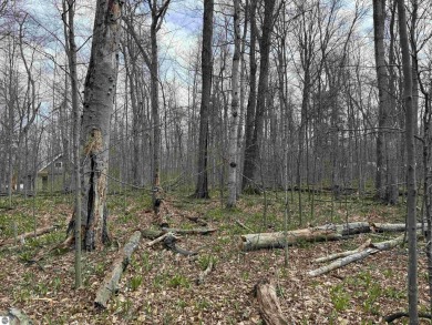Surrounded by the natural beauty of mature hardwoods and on Manitou Passage Golf Club in Michigan - for sale on GolfHomes.com, golf home, golf lot