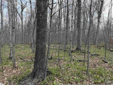 Surrounded by the natural beauty of mature hardwoods and on Manitou Passage Golf Club in Michigan - for sale on GolfHomes.com, golf home, golf lot