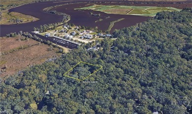 Discover the rare opportunity to own a private 0.7-acre estate on The Ford Field and River Club  in Georgia - for sale on GolfHomes.com, golf home, golf lot