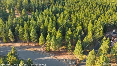 Experience the art of semi-custom mountain living in the private on Suncadia Resort in Washington - for sale on GolfHomes.com, golf home, golf lot