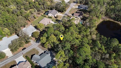Build your dream home on this beautiful vacant lot in Sugar Mill on Sugarmill Woods Golf and Country Club in Florida - for sale on GolfHomes.com, golf home, golf lot