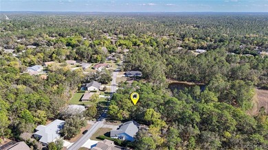 Build your dream home on this beautiful vacant lot in Sugar Mill on Sugarmill Woods Golf and Country Club in Florida - for sale on GolfHomes.com, golf home, golf lot