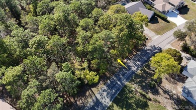 Build your dream home on this beautiful vacant lot in Sugar Mill on Sugarmill Woods Golf and Country Club in Florida - for sale on GolfHomes.com, golf home, golf lot