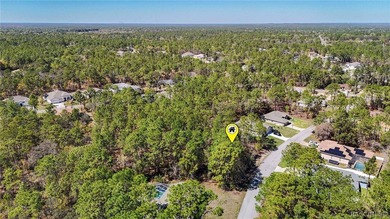 Build your dream home on this beautiful vacant lot in Sugar Mill on Sugarmill Woods Golf and Country Club in Florida - for sale on GolfHomes.com, golf home, golf lot