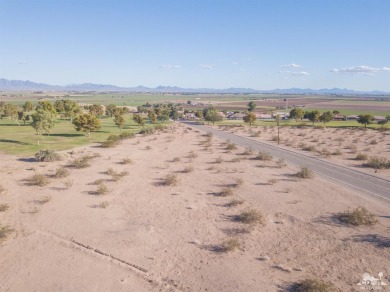 Experience the pinnacle of golf course living with this on Blythe Municipal Golf Course in California - for sale on GolfHomes.com, golf home, golf lot