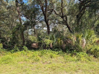 Build your forever home on this beautiful acre property on Indian Lake Estates Golf and Country Club in Florida - for sale on GolfHomes.com, golf home, golf lot