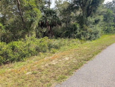 Build your forever home on this beautiful acre property on Indian Lake Estates Golf and Country Club in Florida - for sale on GolfHomes.com, golf home, golf lot