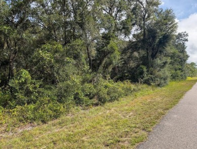 Build your forever home on this beautiful acre property on Indian Lake Estates Golf and Country Club in Florida - for sale on GolfHomes.com, golf home, golf lot