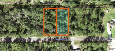 Build your forever home on this beautiful acre property on Indian Lake Estates Golf and Country Club in Florida - for sale on GolfHomes.com, golf home, golf lot
