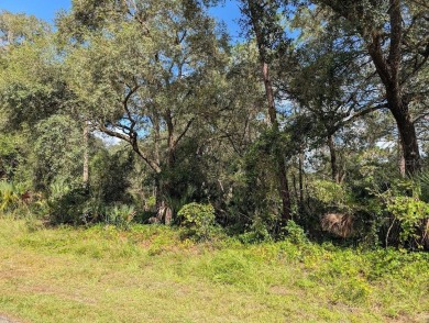 Build your forever home on this beautiful acre property on Indian Lake Estates Golf and Country Club in Florida - for sale on GolfHomes.com, golf home, golf lot