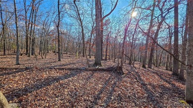 Discover the perfect canvas for your dream home on Muirfield on The Club At Porto Cima in Missouri - for sale on GolfHomes.com, golf home, golf lot