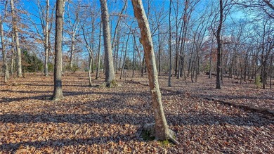 Discover the perfect canvas for your dream home on Muirfield on The Club At Porto Cima in Missouri - for sale on GolfHomes.com, golf home, golf lot