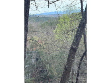 Welcome to Wilkerson Court Lot #16. Located in sought after on Rumbling Bald Resort on Lake Lure in North Carolina - for sale on GolfHomes.com, golf home, golf lot