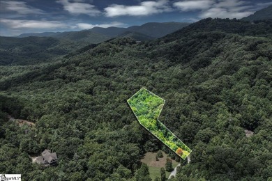 Nestled amidst the breathtaking Blue Ridge Mountains, The Cliffs on The Cliffs Valley Golf Course in South Carolina - for sale on GolfHomes.com, golf home, golf lot