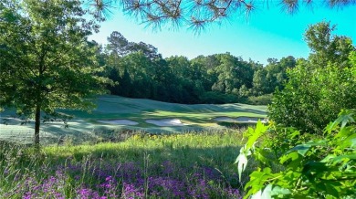 The Manor Cottages - a collection of 62 custom homes with on Trophy Club of Atlanta in Georgia - for sale on GolfHomes.com, golf home, golf lot