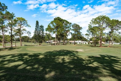 Live the Ultimate Florida Lifestyle in Highland Lakes, Pinellas on Highland Lakes Executive Golf Course in Florida - for sale on GolfHomes.com, golf home, golf lot