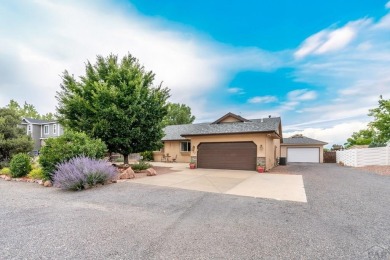 HUGE SHOP AND BONUS ROOM!! 6-Car + garage spaces!!! The HUGE on Desert Hawk At Pueblo West in Colorado - for sale on GolfHomes.com, golf home, golf lot