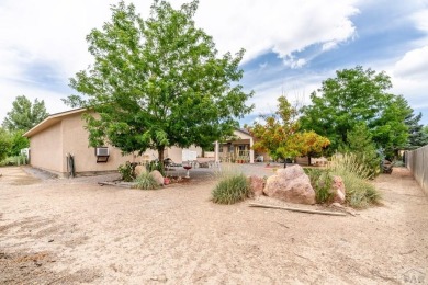 HUGE SHOP AND BONUS ROOM!! 6-Car + garage spaces!!! The HUGE on Desert Hawk At Pueblo West in Colorado - for sale on GolfHomes.com, golf home, golf lot