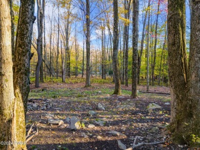 CONTEMPORARY LOG-SIDED CHALET, JUST A MINUTE OR TWO WALK TO THE on The Hideout Golf in Pennsylvania - for sale on GolfHomes.com, golf home, golf lot