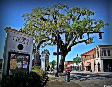 Stunning 0.38-Acre lake front homesite in Myrtle Beach's Premier on Wild Wing Plantation in South Carolina - for sale on GolfHomes.com, golf home, golf lot