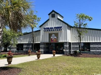 Stunning 0.38-Acre lake front homesite in Myrtle Beach's Premier on Wild Wing Plantation in South Carolina - for sale on GolfHomes.com, golf home, golf lot